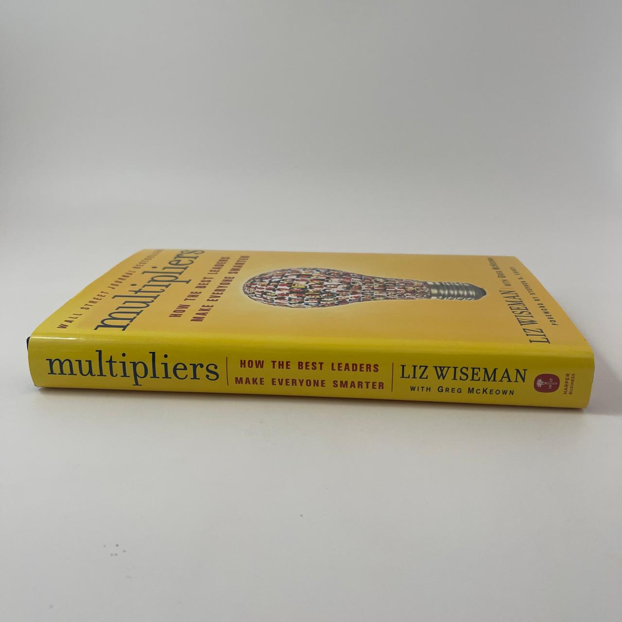 Book titled 'Multipliers' by Liz Wiseman on a white background