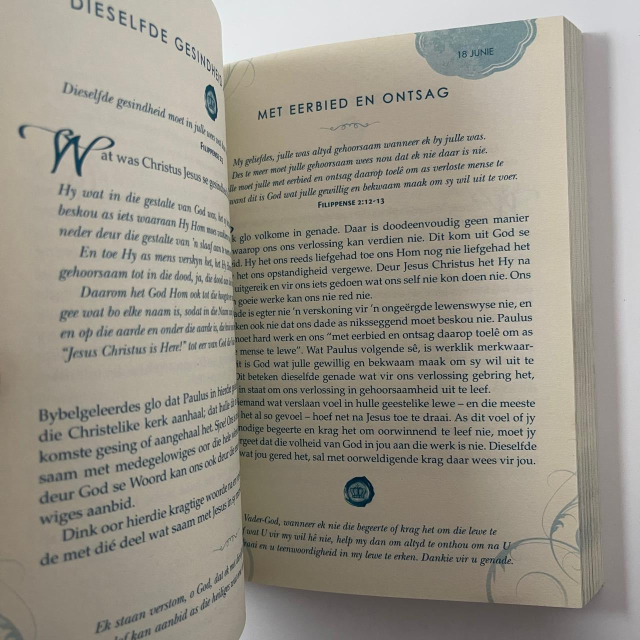 Ontdek Jesus: 365 Oordenkings om Jesus Beter te Leer Ken - Darlene Zschech