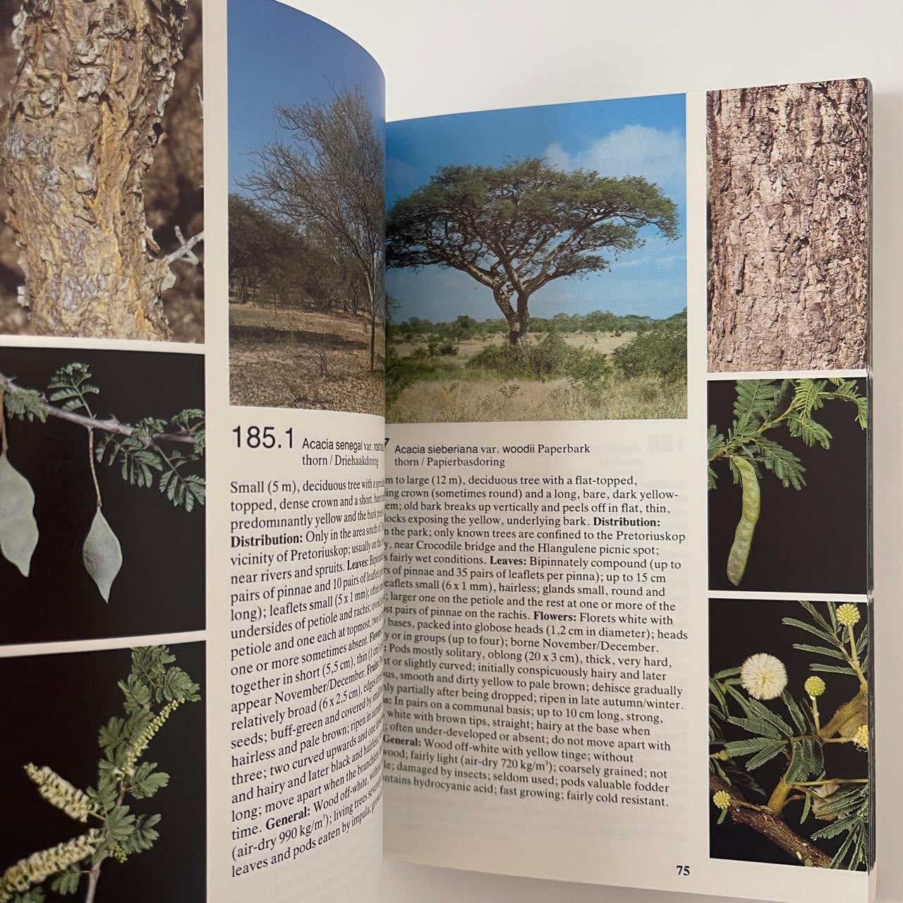 Field Guide to the Trees of the Kruger National Park - Piet van Wyk