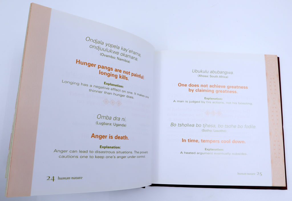 Wisdom From Africa: A Collection of Proverbs - Dianne Stewart