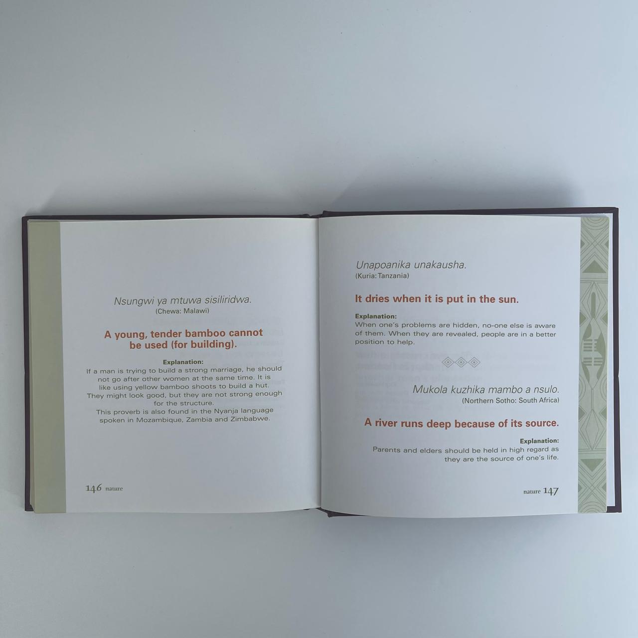 Wisdom From Africa: A Collection of Proverbs - Dianne Stewart